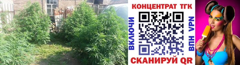 Дистиллят ТГК вейп  купить наркотик  Заинск 