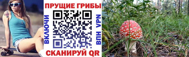 Галлюциногенные грибы прущие грибы  omg   Заинск 