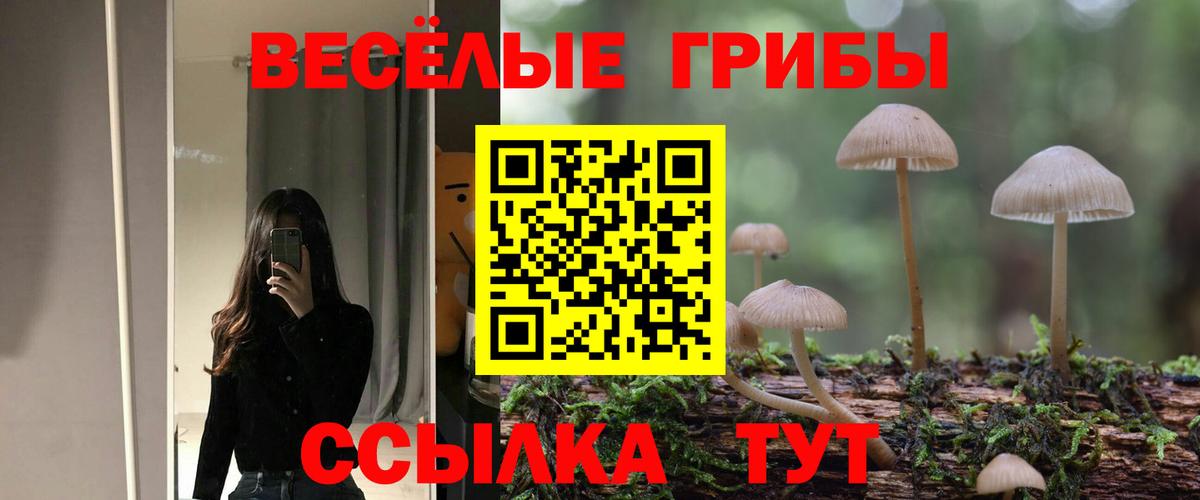 Галлюциногенные грибы Cubensis Заинск